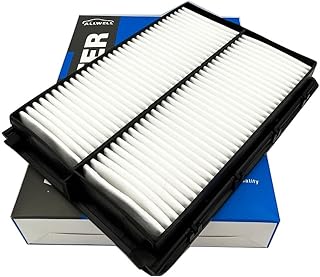 ALLWELL Filtro de ar do motor serve para Kia Sorento 2020-16, Telluride 2023-20, Sedona 2021-15, Hyundai Santa Fe Sport 2018-17, Santa Fe 2020-19