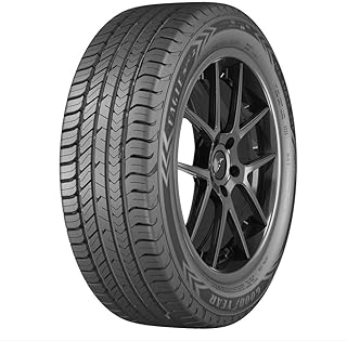Kit 2 Pneu Goodyear Aro 15 185 65R15 88H Tl Eagle Touring