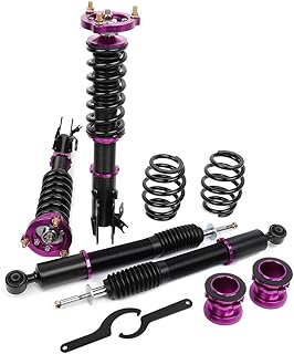 Kits de suspensão Coilover Amortecedores Conjunto completo SCITOO Kits de amortecedores adequados para Honda Civic 2006 2007 2008 2009 2010 2011 para Honda Civic - Roxo