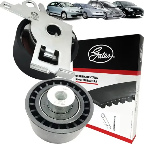 Polia Tensor Correia Dentada Citroën Xsara 2 0 2001 2011 Skf